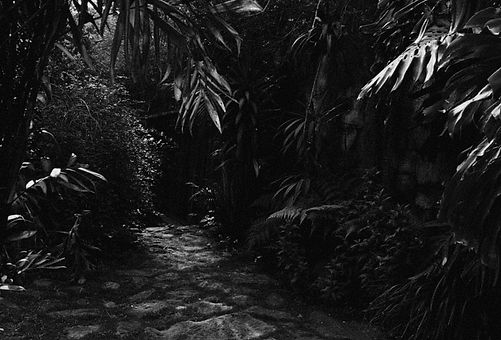 Paisajes de playa