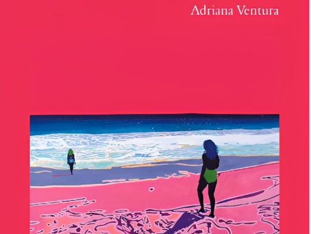 Lo doméstico, modernidad y paisaje en Escribir con espuma en las manos