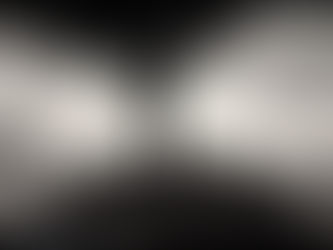 Diálogos con la Lagartija bípeda