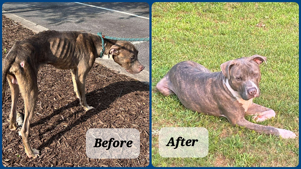 Ragnar Before and Now