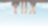 header.jpg