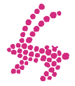 ã¹ã¯ãªã¼ã³ã·ã§ãã_2022-04-11_1