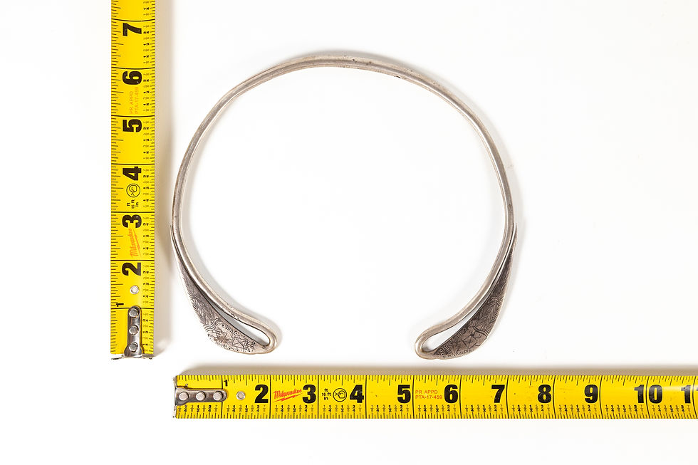 Thumbnail: Xauv 3 | Medium Adult Silver Collar