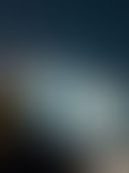 Travelling wanderlust in an R.V.