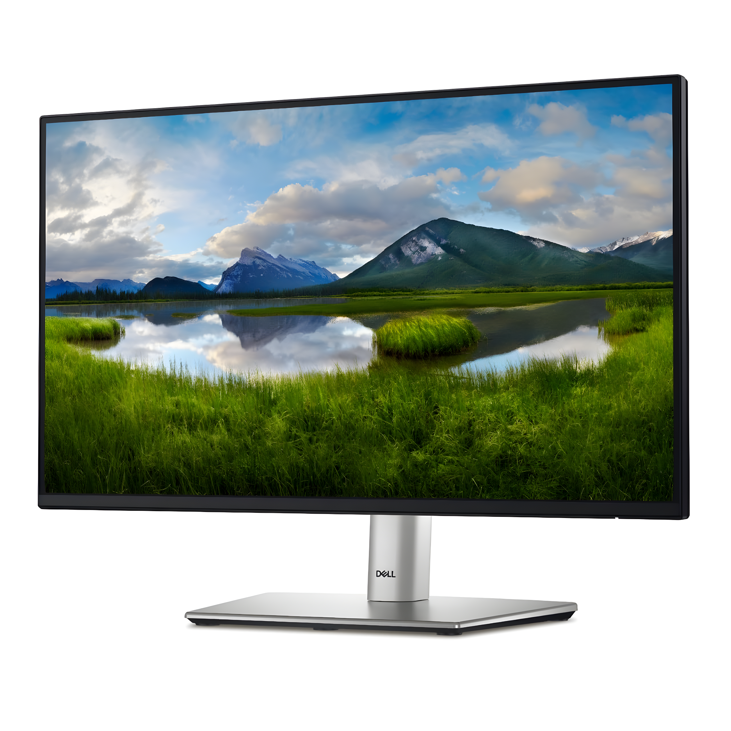 Dell P2422H 24" HDMI IPS Monitor