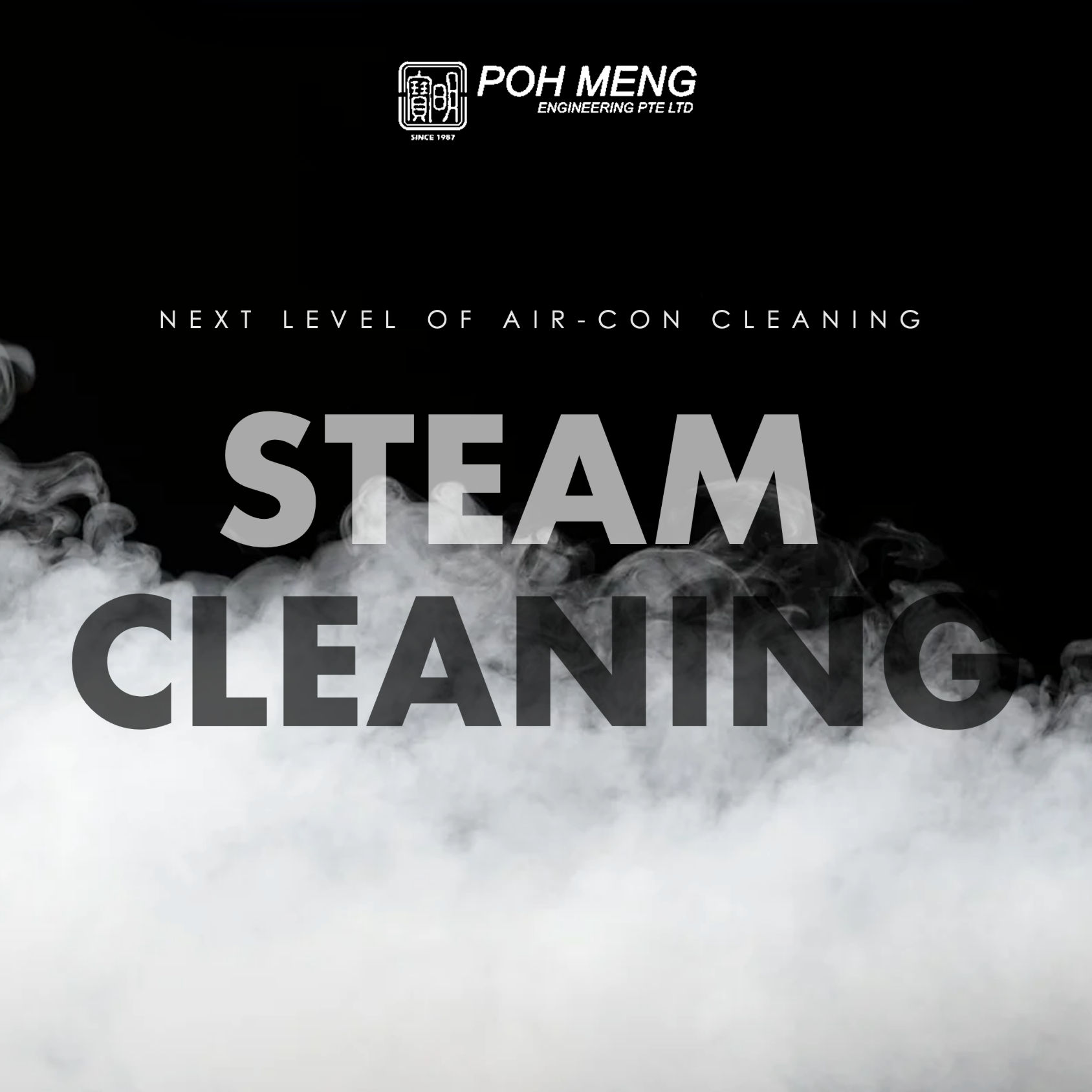 Steam Cleaning