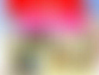 内藤記念くすり博物館で、1/25に第4回貞奴芸術祭®各務原・川島編を開催します