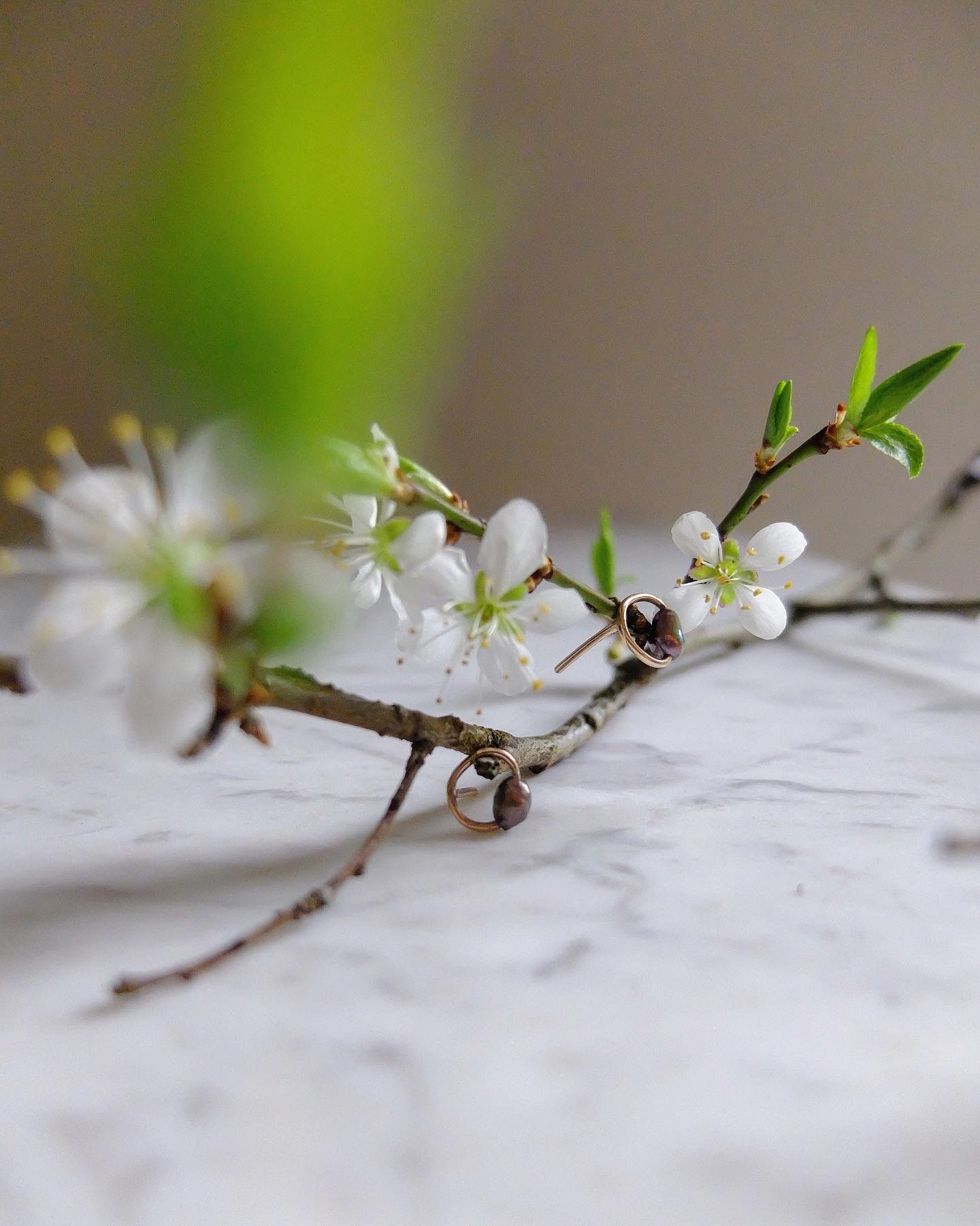 - cherry blossom girl -