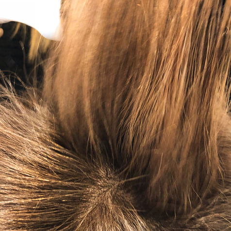 Haar-Coloration, die das Haar