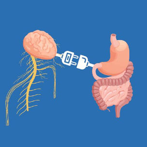 Um caminho para o tratamento da depressão (intestino)