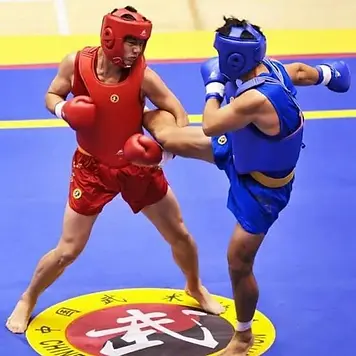 Sanda-leg-catch-800x800.webp