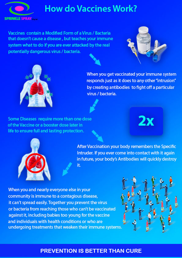 A Short Guide on how Vaccines Work