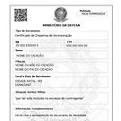 assessoria cidadania polonesa alpha
