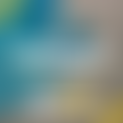 Trending Paving Around Pool in Jacksonville: Styles That Will Wow You and Your Neighbors!