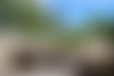 TrexPro Platinum Deck Builder Composite Decking Warners of Naperville