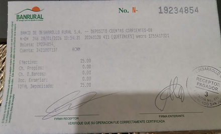 Ejemplo Boleta.jpg