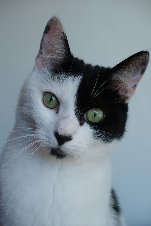 WhatsApp Image 2025-03-26 at 09.32.23_dabb09a8.jpg