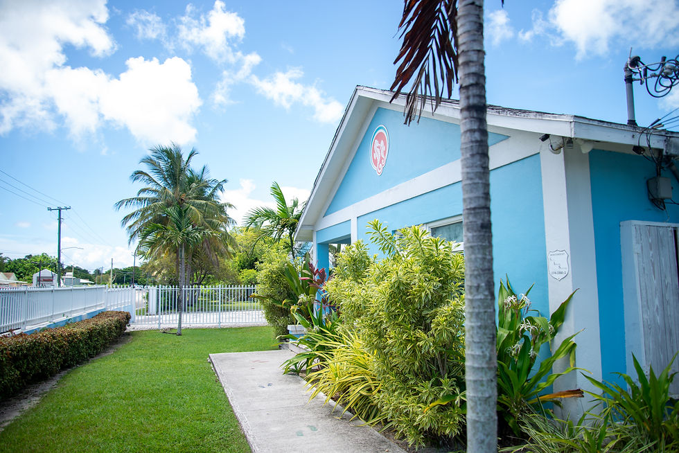 SeahorseBuilding-19