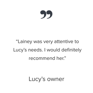 lucy-review.png