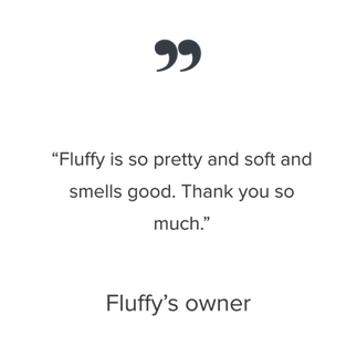 fluffy-review.png