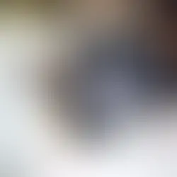 How I Groom Blind Dogs