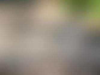 Speak out for Wildlife by Noon on April 10th