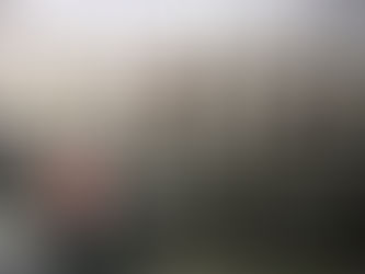 Another Chance To Comment (by March 21) On Proposed New Mega Dairy