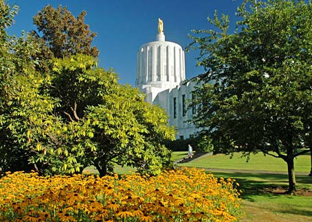 Humane Voters Oregon Announces General Election Endorsements