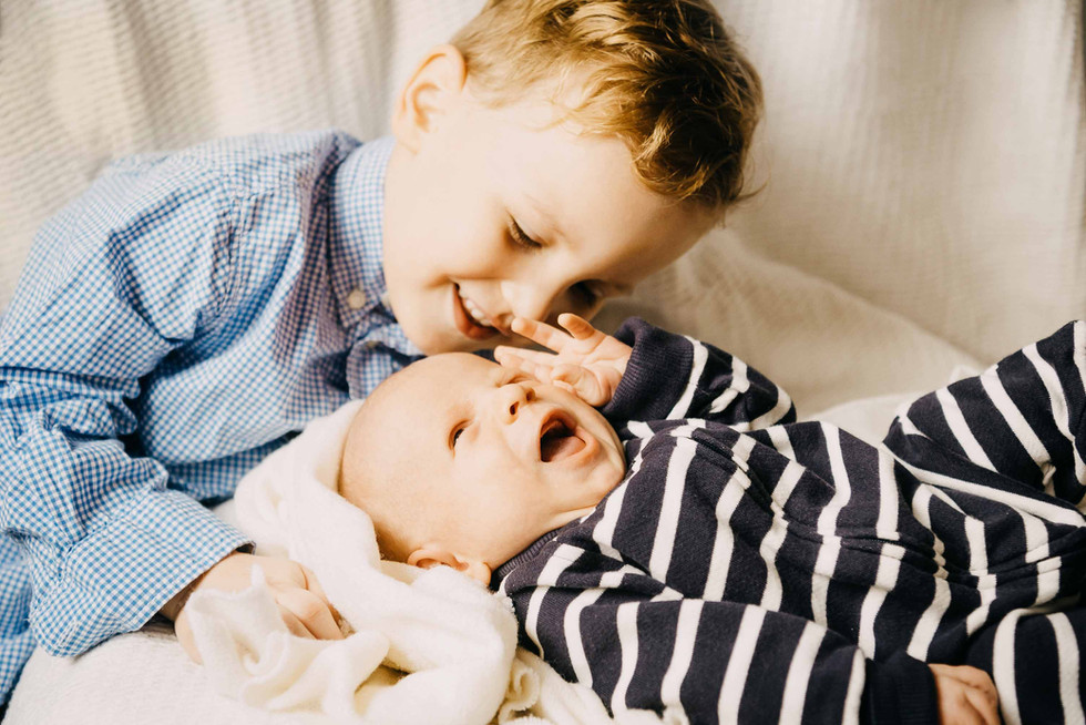 neugeborenenfotos babyfotos familienfotos halle