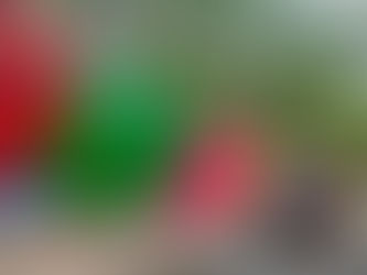 Busan Travel Guide: South Korea’s Coastal Gem