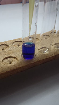 12049004_10206533126423528_86485881_n