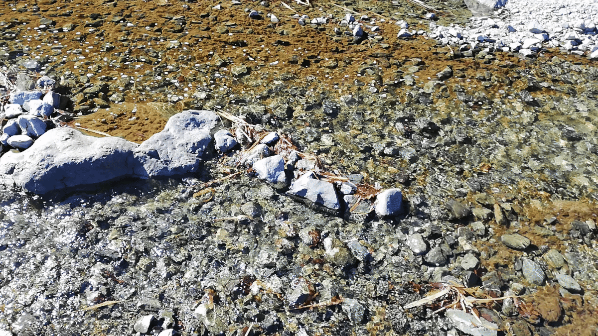 2019-01-27 13.20.17-0001.gif