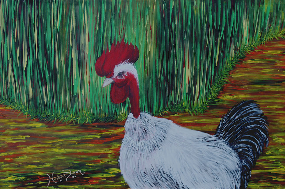 "THE ROOSTER"