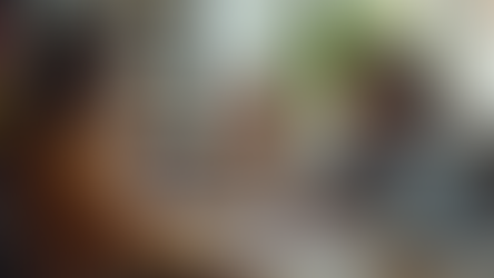 Empowering Families with Family-Focused Education Advocacy