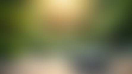 Navigating Educational Advocacy and Parental Consultations for Effective Child Services