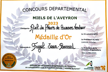 Diplome Médaille d'or départementale 202