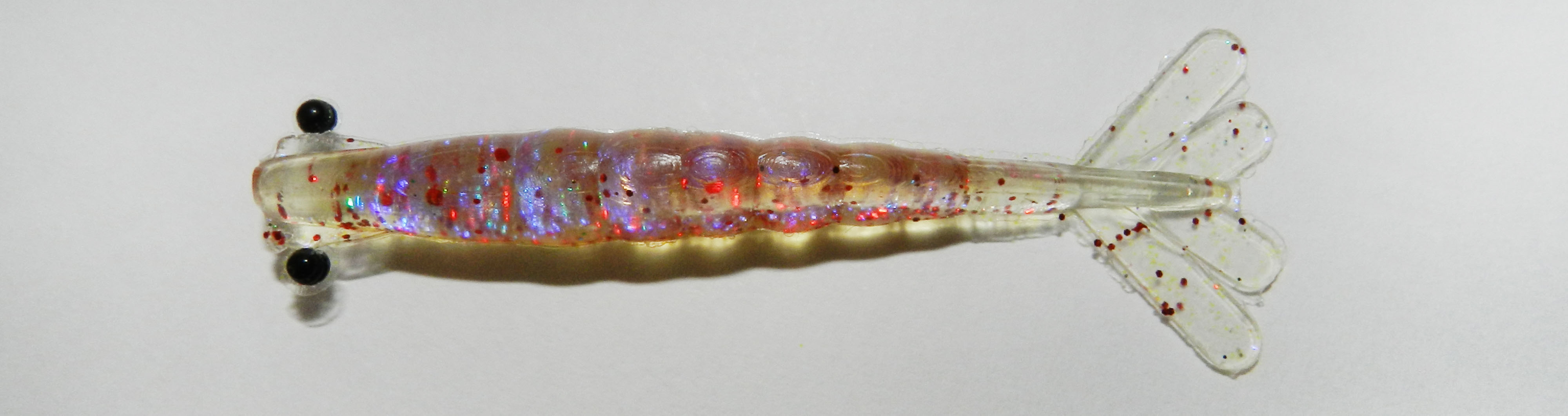 Camarão Flexa Holográfico Cor 33