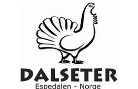 dalseter+logo+svart_edited_edited_edited