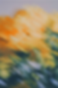 FLEURS.png