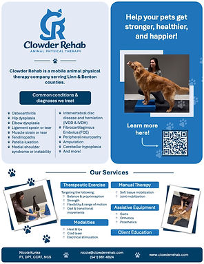Client Flyer
