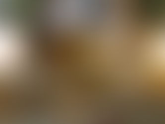 Why a Southern California Photographer Expertise is Exactly What You Need