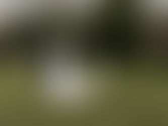 Finding a Wedding Photographer: How to Find the Perfect Wedding Photographer