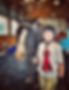 horseback riding lessons kentucky