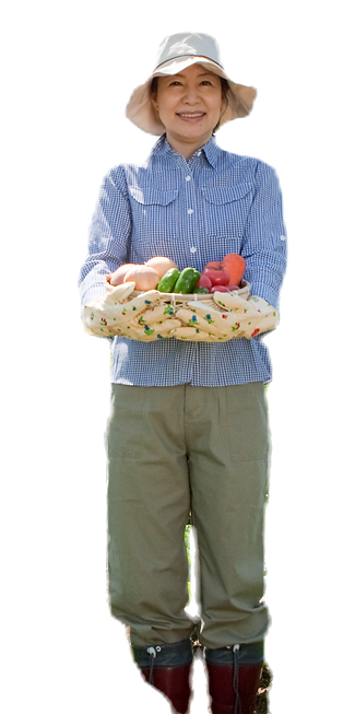 Farmer Picking Vegetables