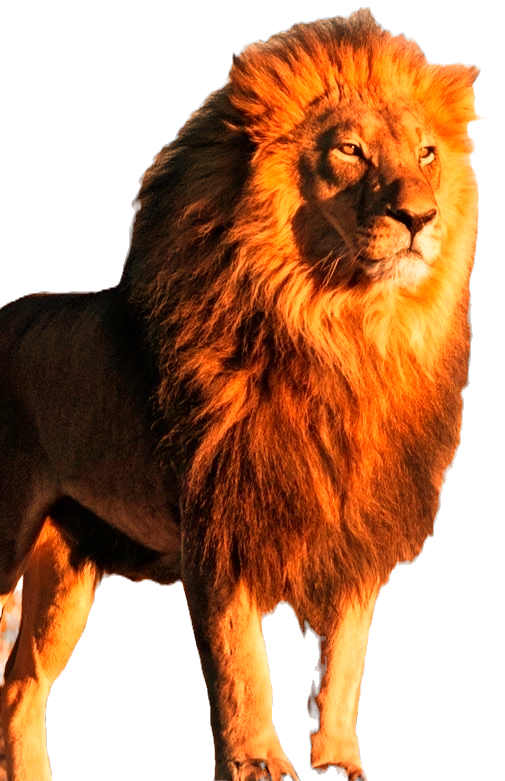 image_6483441668_edited.png