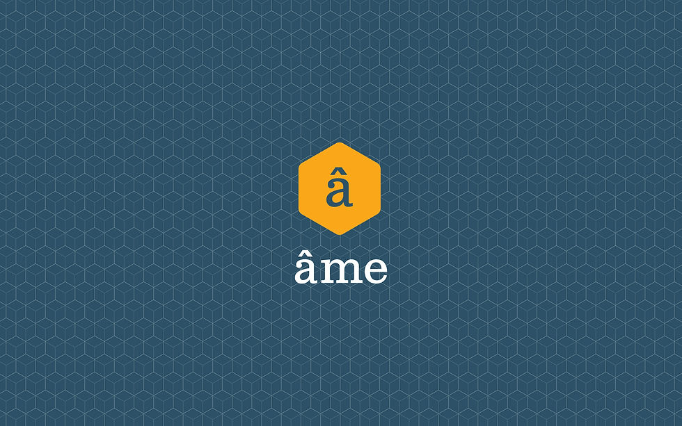 BOZZUTO: Ame Brand Study