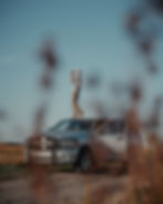 scouting for early season geese