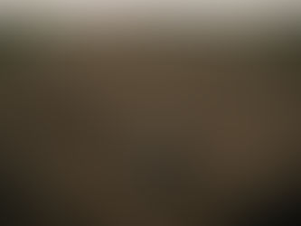 Building a turkey gun