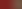 NUPRIMA.png