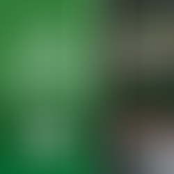 Purchase all-sport passes and reserved football seats